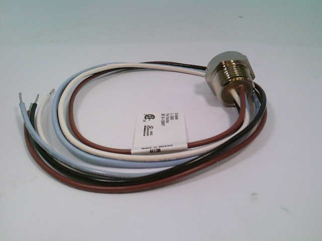 TURCK RKF 40-0.5M/NPT