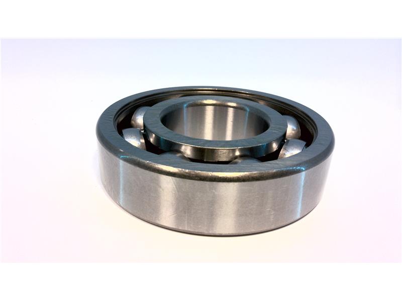 SCHAEFFLER GROUP 6309ZR.C3