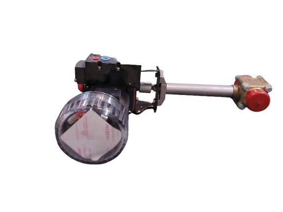 FLOWSERVE 15139 SWM2120-P-BC-R6