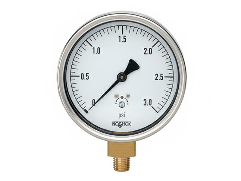 NOSHOK 25-200-3-PSI-GL-BCR