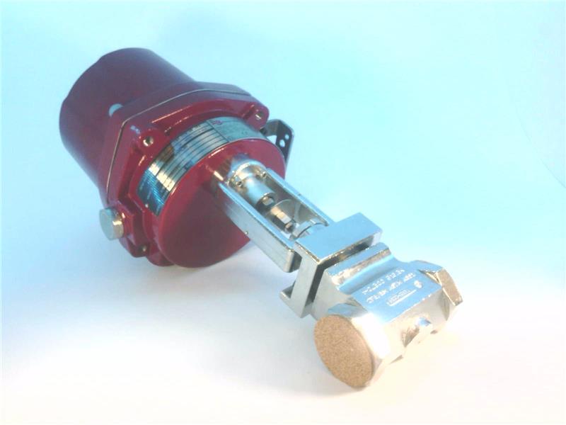 SEVA-100-M25-1.125-1/4-28-IP6 by BADGER METER