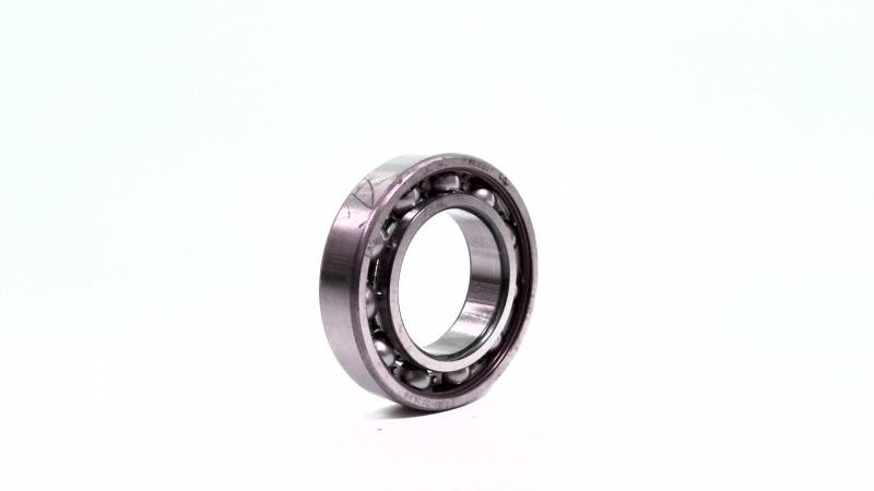 SCHAEFFLER GROUP 6007