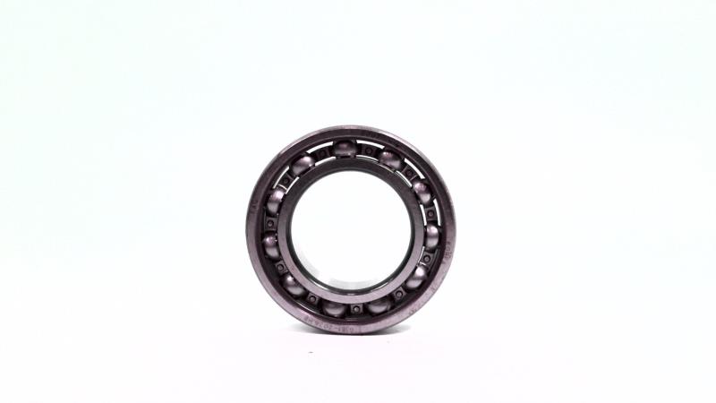 SCHAEFFLER GROUP 6007