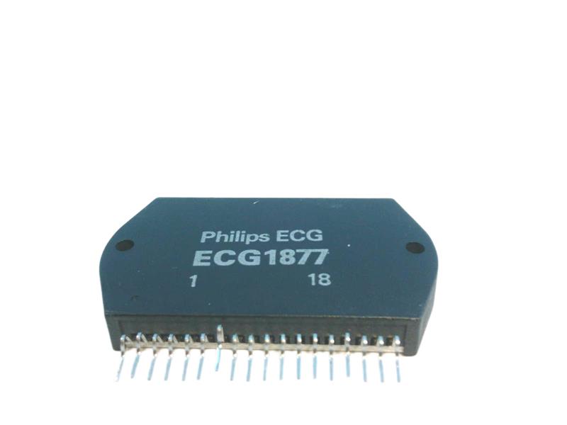 ECG1877 by PHILIPS