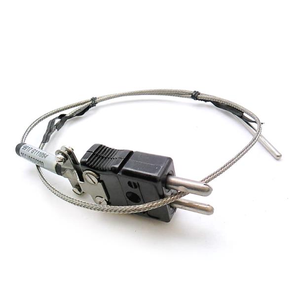 20CJSGD020D by WATLOW