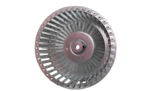 LAU FANS 02048764
