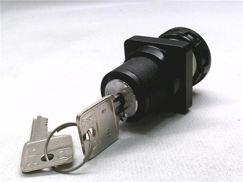 SCHNEIDER ELECTRIC 9001-D1L80