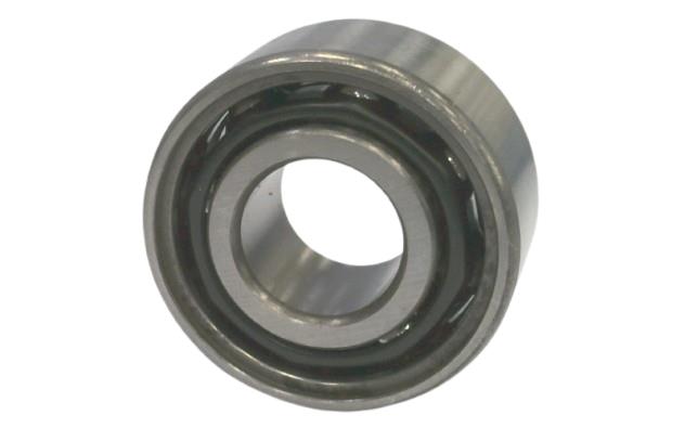 SKF 5202SB