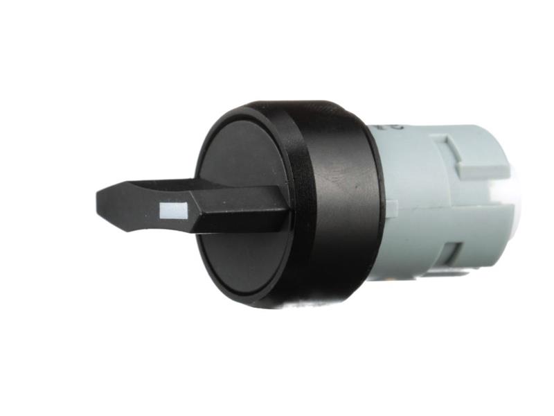 CARLO GAVAZZI PB22SLRS31K