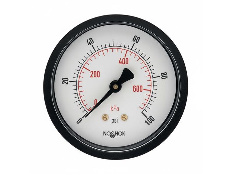 25-110-100-PSI/KPA-SSB-CC by NOSHOK
