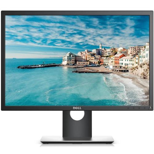 DELL P1917S