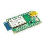 MICROCHIP TECHNOLOGY INC RN-42-EK