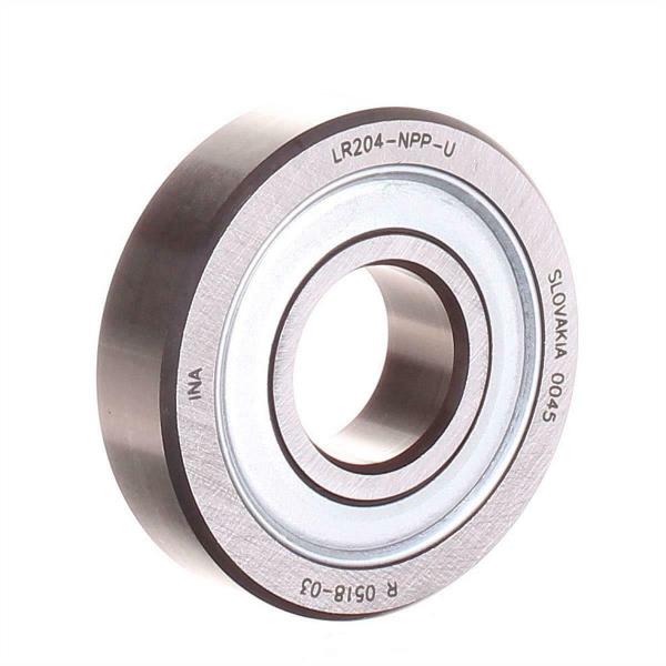 SCHAEFFLER GROUP LR-204-NPP