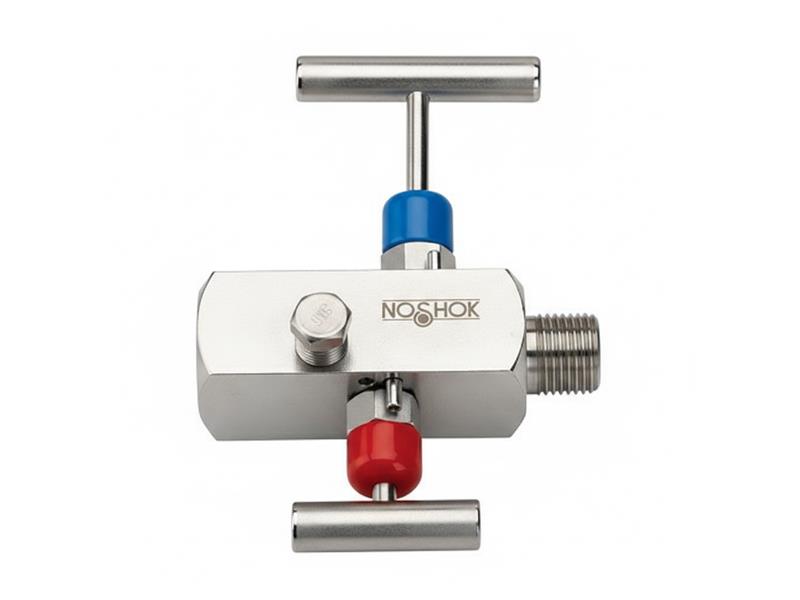 NOSHOK 10-04C-S-B-06C-2F