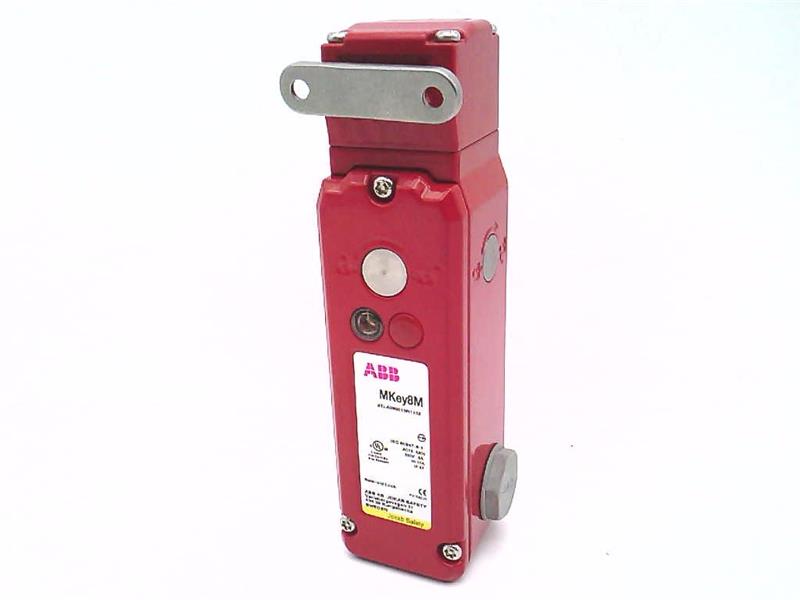 ASEA BROWN BOVERI 2TLA050013R1132