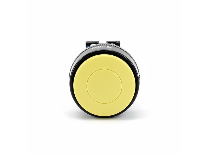 FUJI ELECTRIC AR30M3R-20Y