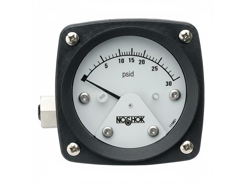 NOSHOK 25-110-160-PSI/KPA-SSB-BP3-CC
