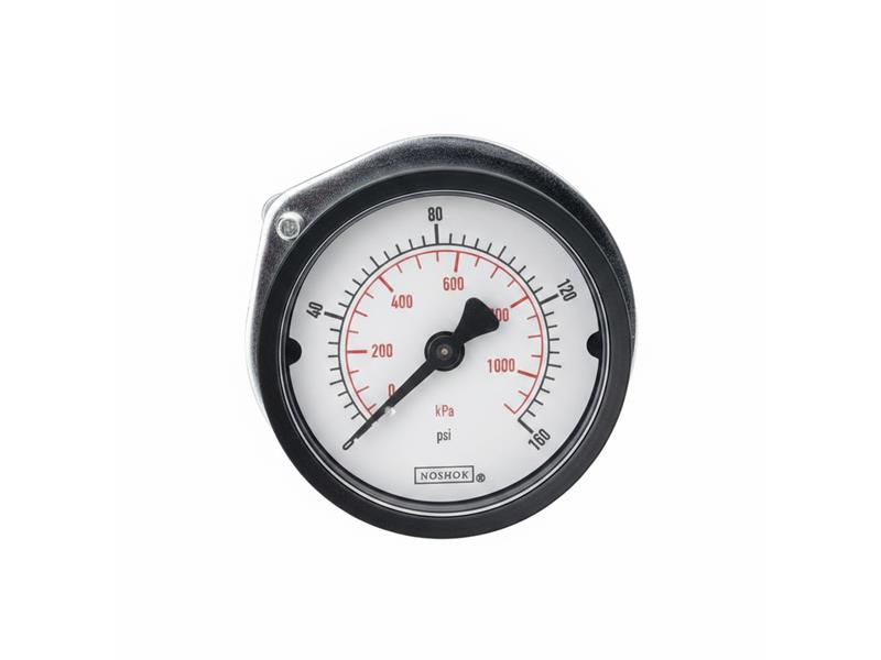 NOSHOK 25-110-6000-PSI/KPA-SSB-CC