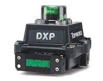 TOPWORX DXS-LX1GNEB