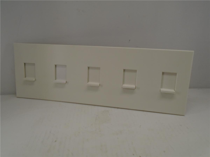 LUTRON NT-SSSSS-FB-WH