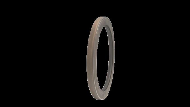 NATIONAL OIL SEALS 455122