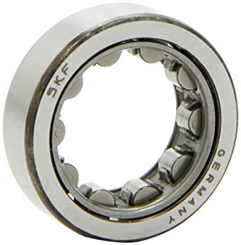 SKF RNU2205E