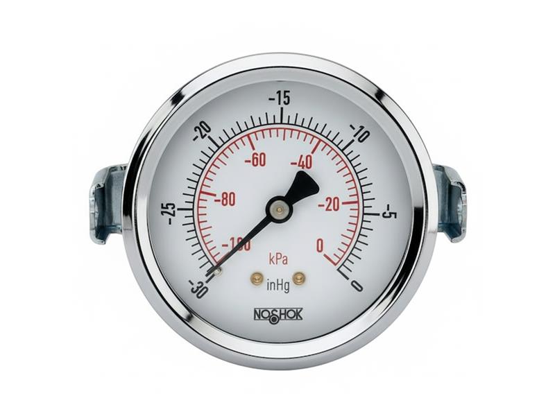 NOSHOK 20-110-60-PSI/KPA-1/8-BLFF