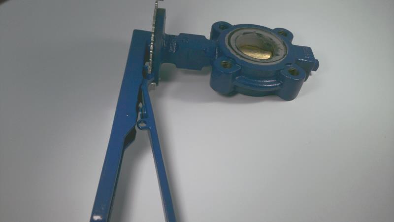 EMERSON 22L0080-10A1SGN1AEK-H100000