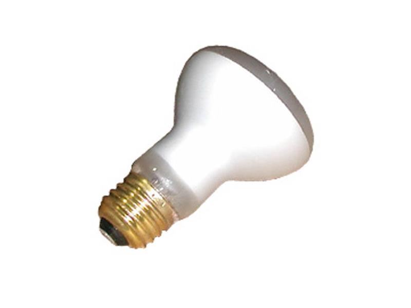 SATCO 100R20 FL 120/130V- POOL LAMP