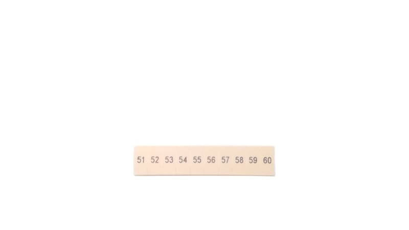 ZB 5,08,LGS:FORTL.ZAHLEN 51-60 by PHOENIX CONTACT