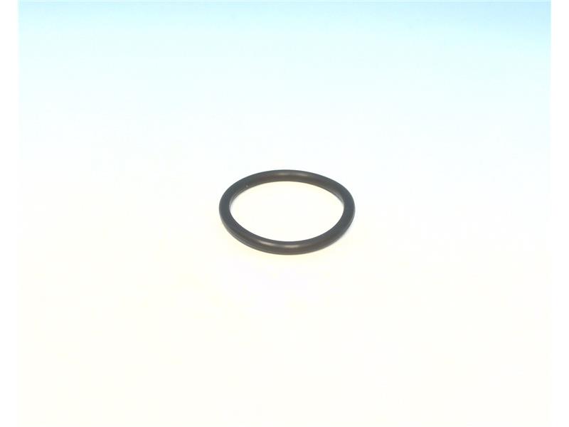 ORING 20X2FPM-80