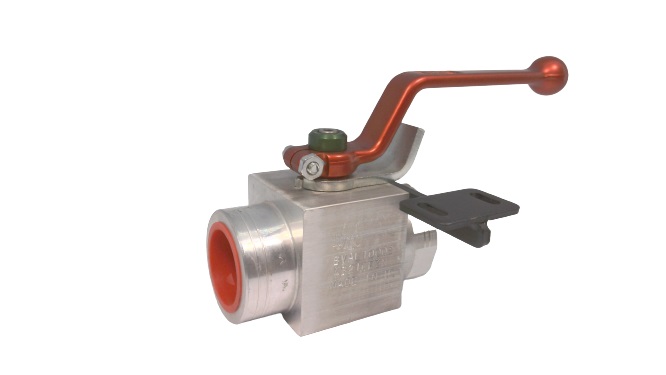 DMIC BVAL-1000B-4321CEZN