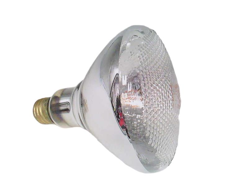 BULBRITE 150BR38FL