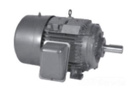 SIEMENS 1LA02544FP21