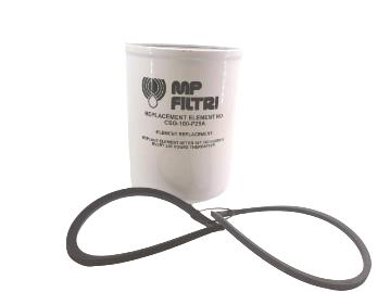 MP FILTRI CSG-100-P25A