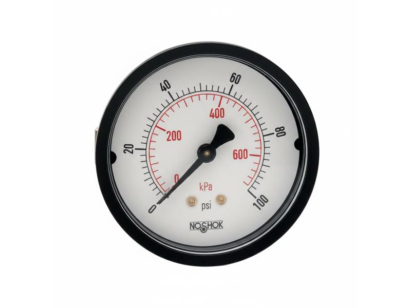 NOSHOK 25-110-160-PSI/KPA-CFF