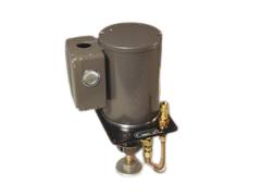 D2957 by BIJUR DELIMON