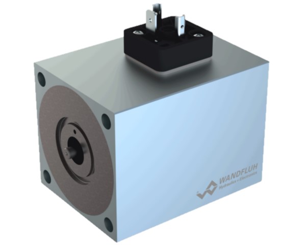 WANDFLUH ELECTRONIC PI60V-G24-M40–HB0