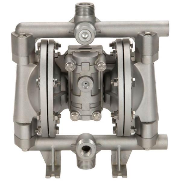 ALL FLO PUMP A050-NAA-GGPN-S30