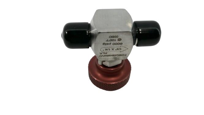 PARKER P2N6G4M4MN4VD-RLR