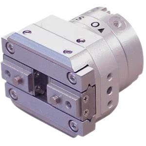 SMC MDHR2-20R-M9BM