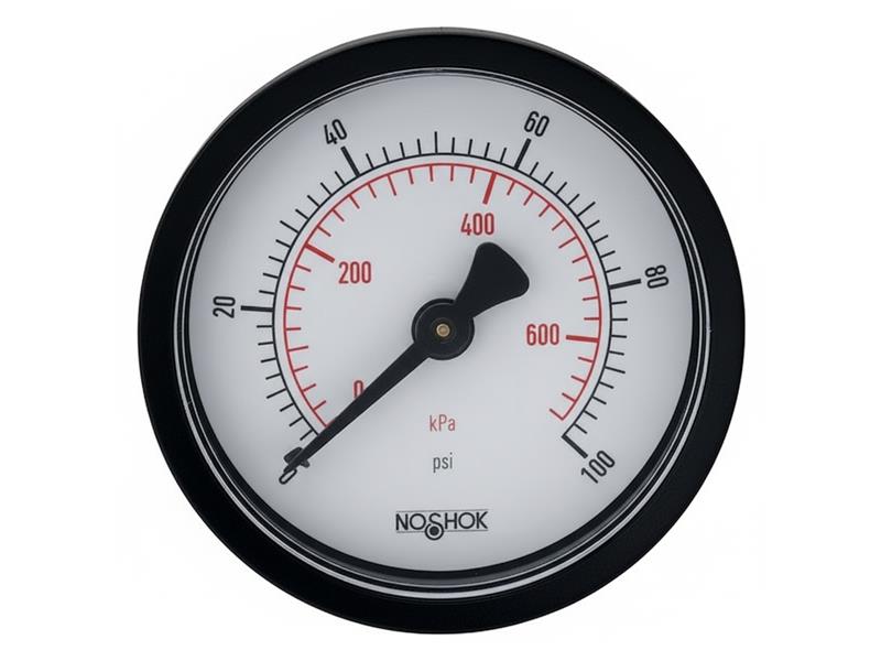 25-100-300-PSI/KPA-CRC by NOSHOK