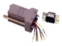 SPC19871 by SPC