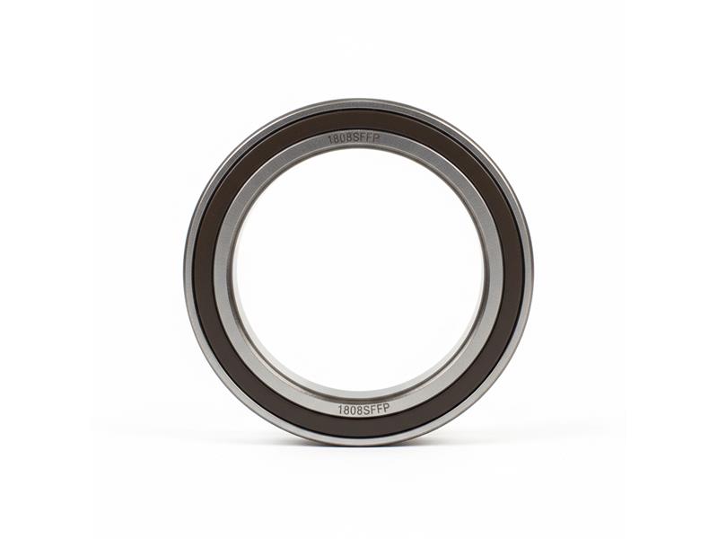 SKF 1808SFFP