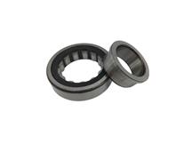 SCHAEFFLER GROUP 13090500