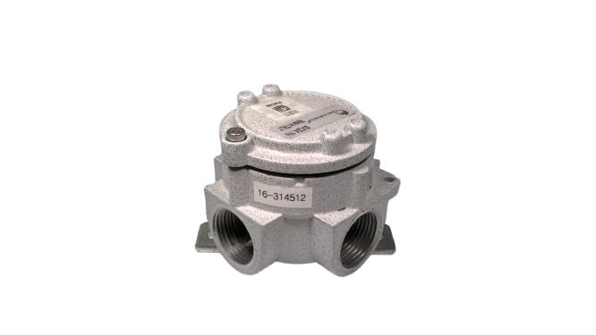 CORTEM GROUP SX24.1N