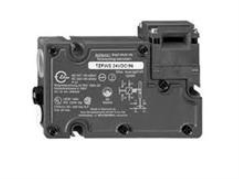 SCHMERSAL TZFWNBU24VDC