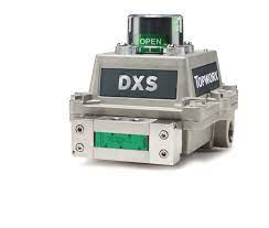 TOPWORX DXS-L21GMMS2622