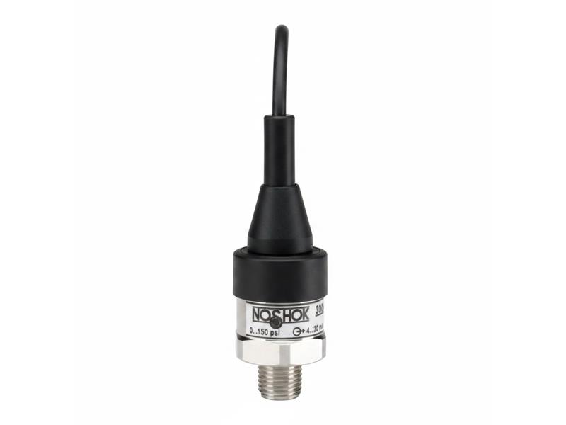 NOSHOK 30-02C-S-V-06S-1F