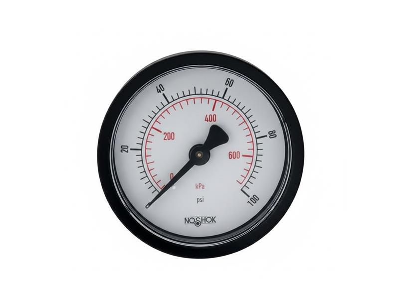 NOSHOK 20-110-60-PSI/KG/CM2-SSB-CC